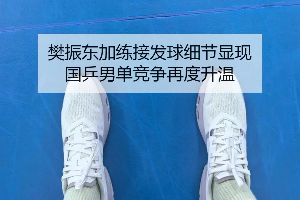 樊振东加练接发球细节显现 国乒男单竞争再度升温